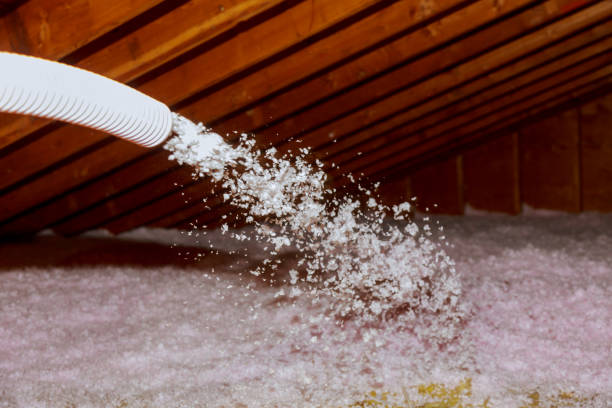 Professional Insulation Contractor in Boulder City, NV