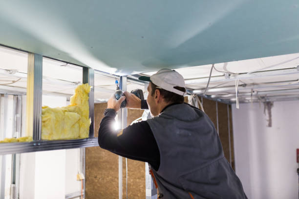 Best Commercial Insulation Contractor  in Boulder City, NV