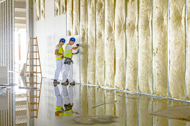 Best Residential Insulation Services  in Boulder City, NV